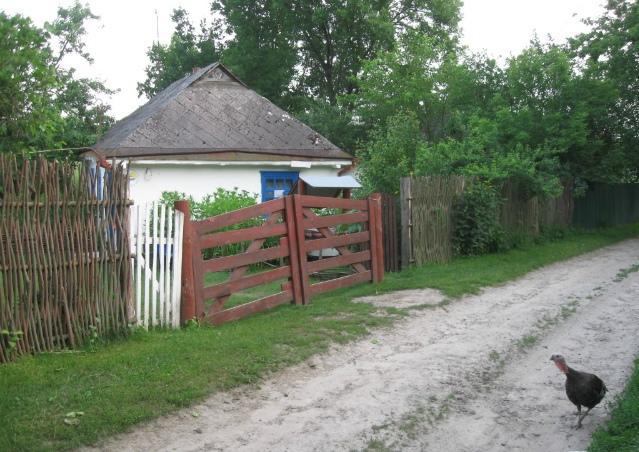 Kалиновий Kущ Dmitrenki 외부 사진